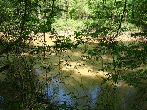 Davis's bridge