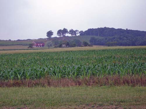 Oak Hill