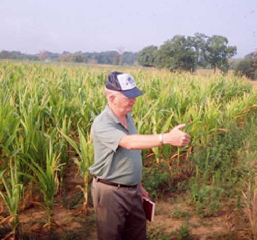 Hal Nelson in Cornfield