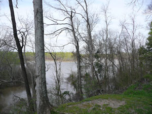 Fort Cobun
