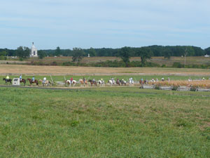 horses