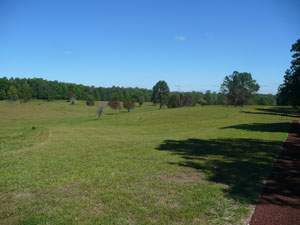 field