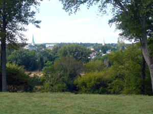 view