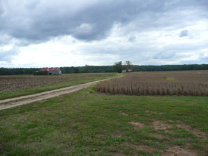 farm