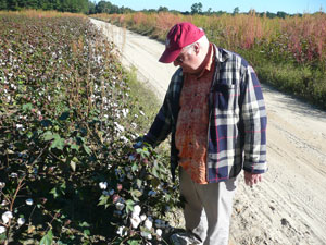 man and cotton