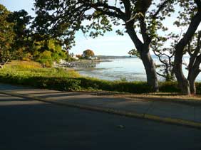 scene